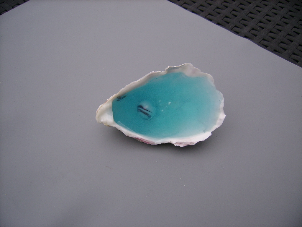 oesterschelp gevuld