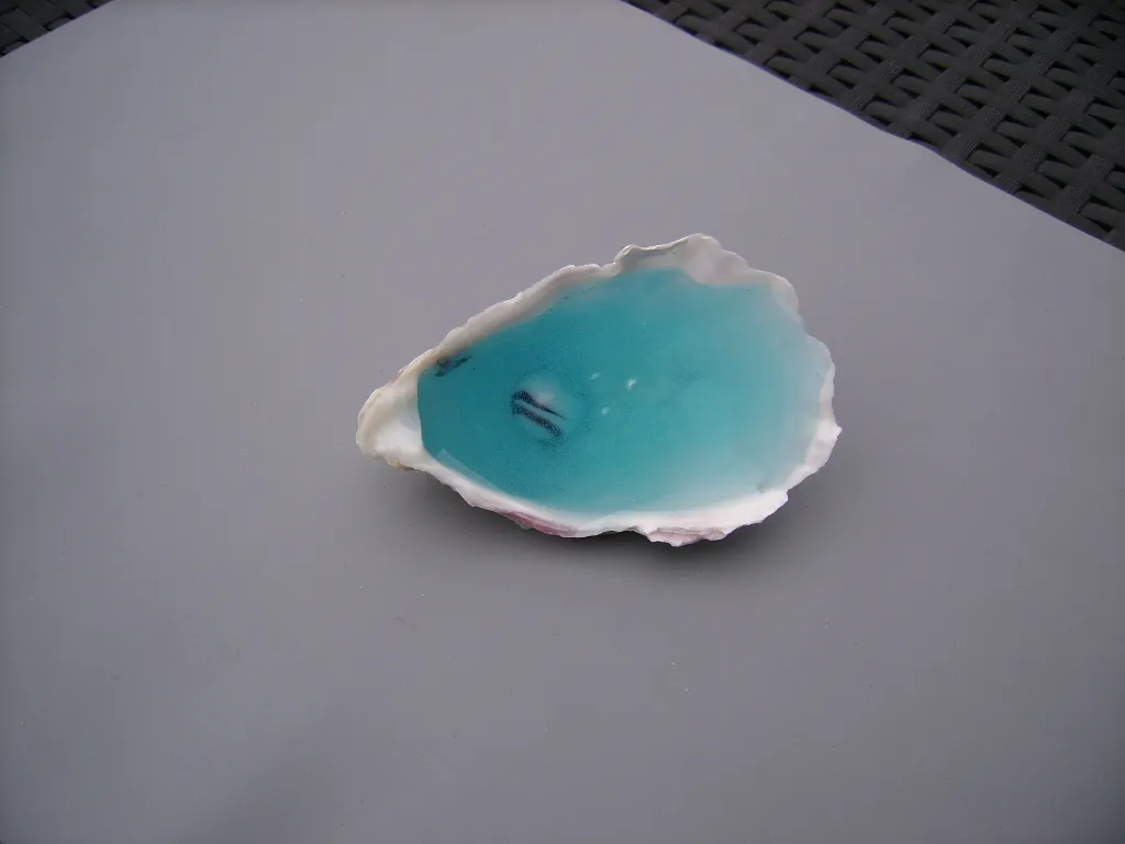 oesterschelp gevuld