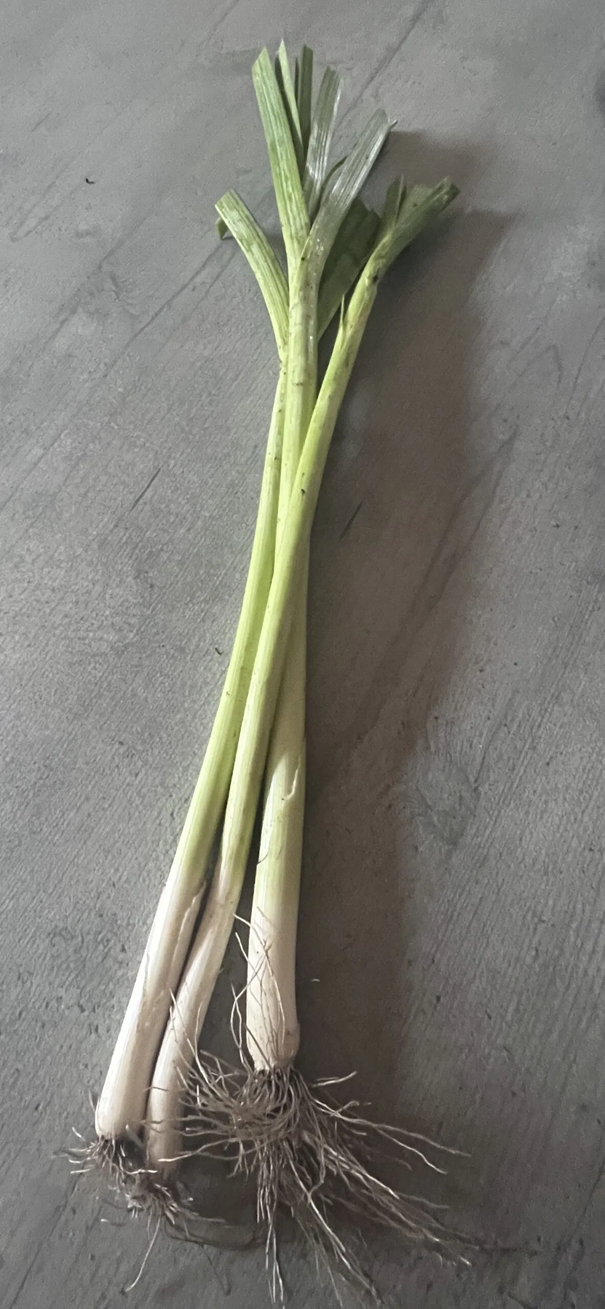 Extra afbeelding
